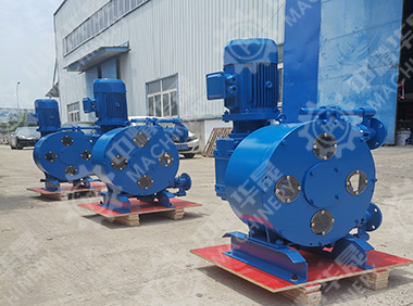 軟管泵出口國(guó)外 